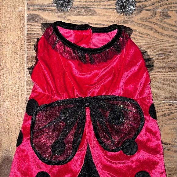 Lady bug Dog costume- size M - Picture 15 of 16